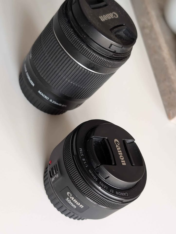 objectifs-canons-tunisie