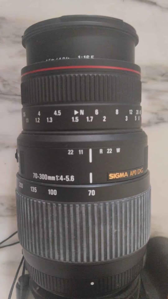 sigma-70-300mm-apo-dg-monture-nikon-f