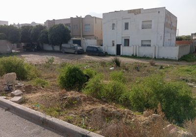 dressing | Proxity.tn