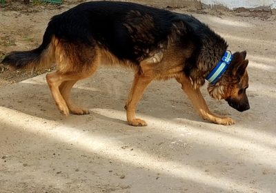 armoire | Proxity.tn