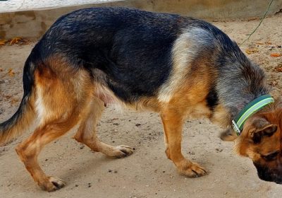 armoire | Proxity.tn