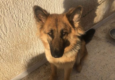 meubles et décoration | Proxity.tn