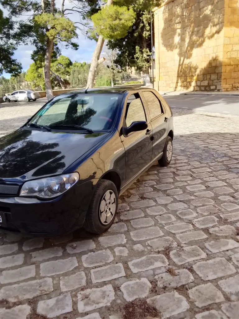 fiat-palio-3-fire-profil-gauche-voiture-occasion