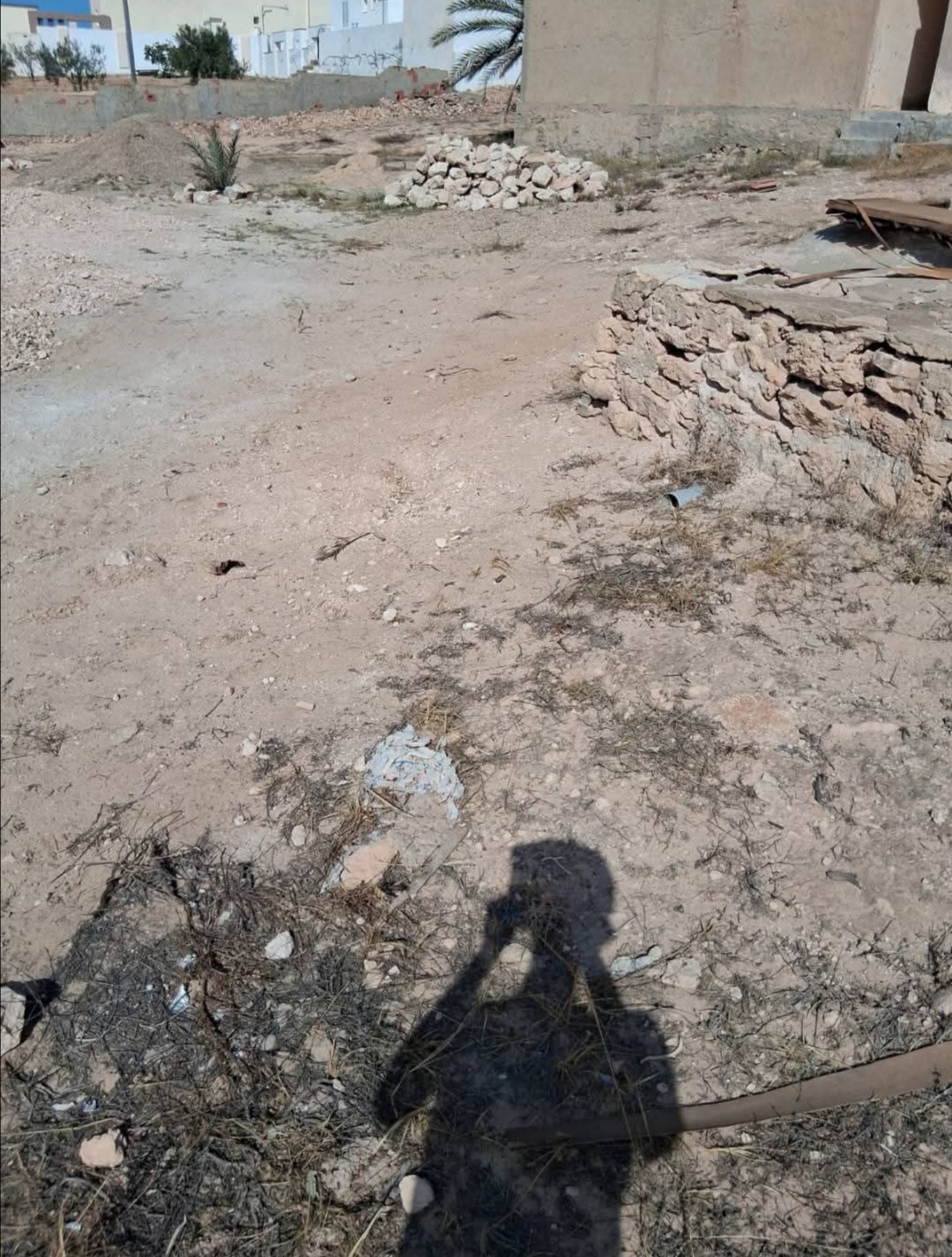 inbound2031025163959389786