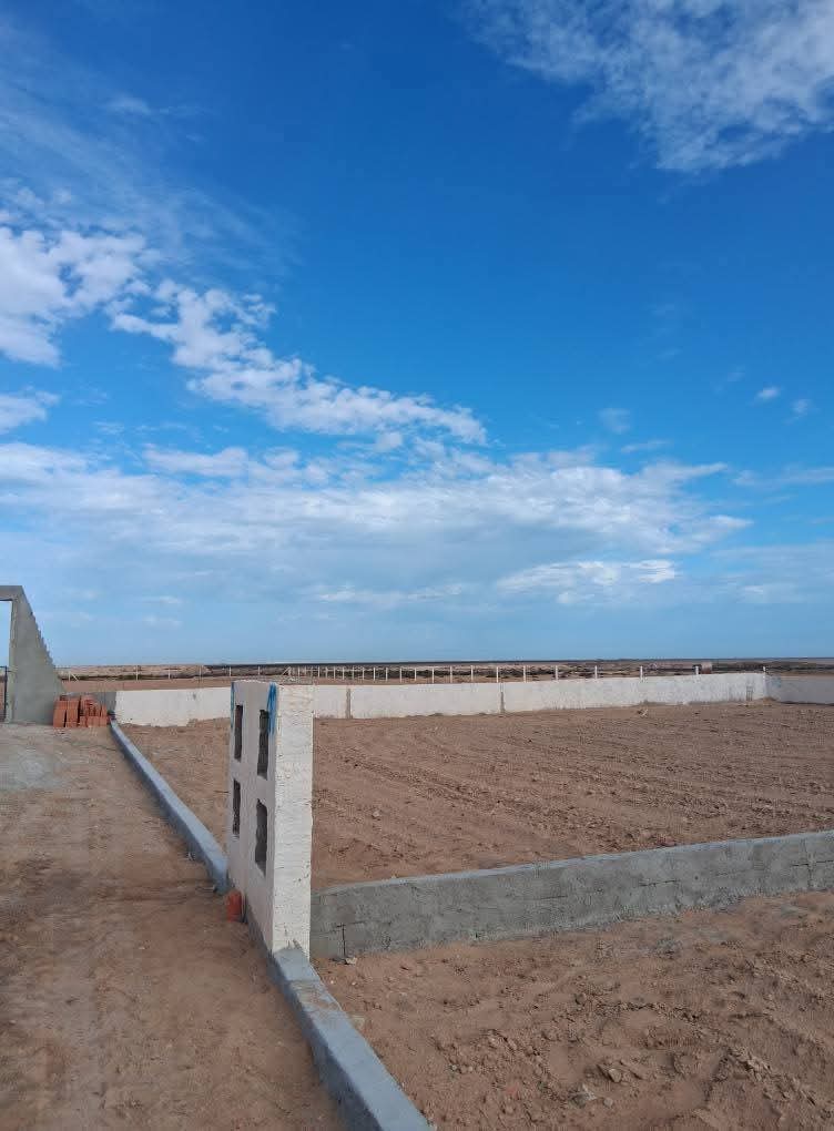 inbound3390089642519624426