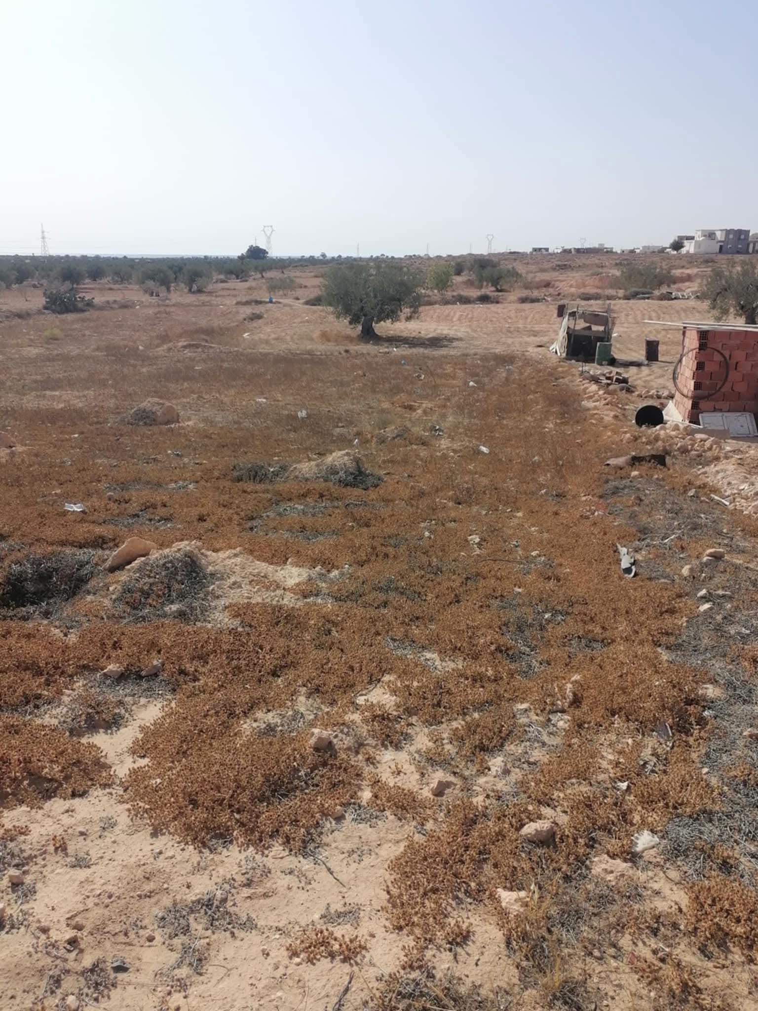 inbound8998116248236225318