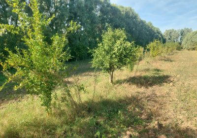 télévision | Proxity.tn