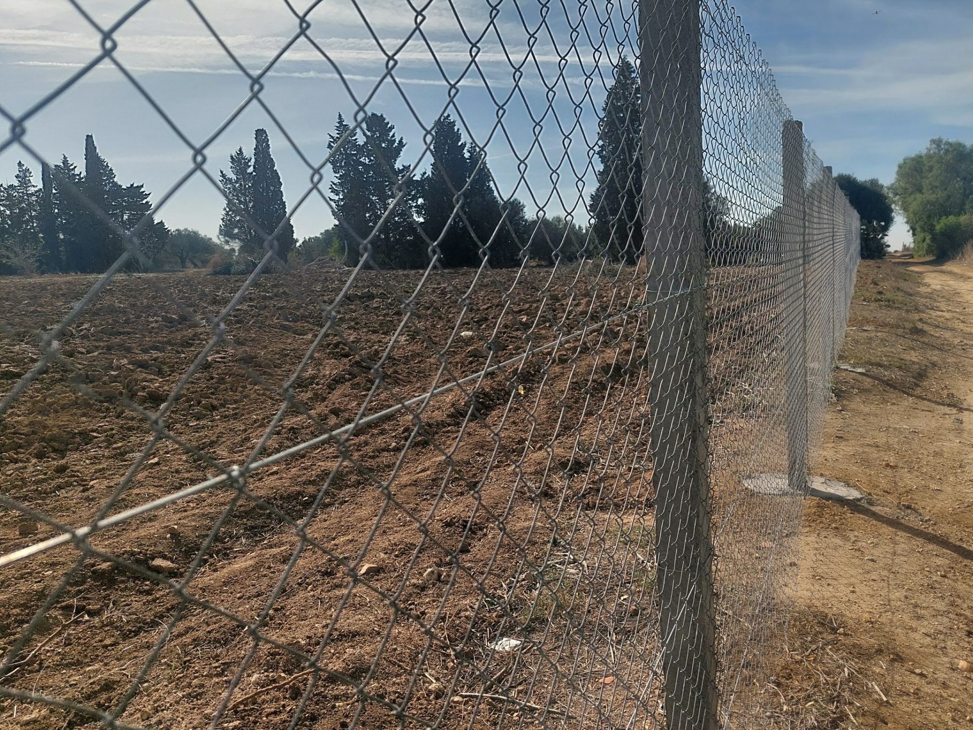 terrain-agricole-titre-foncier-collectif-bouargoub
