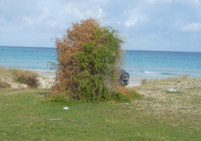 armoire | Proxity.tn