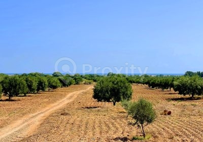 armoire | Proxity.tn