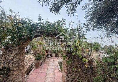 meubles et décoration | Proxity.tn