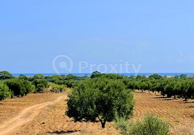 armoire | Proxity.tn