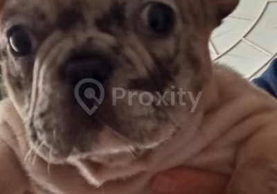 meuble de rangement | Proxity.tn