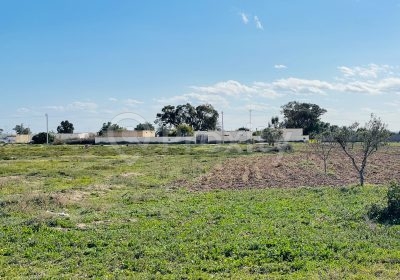 armoire | Proxity.tn