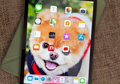 dressing | Proxity.tn