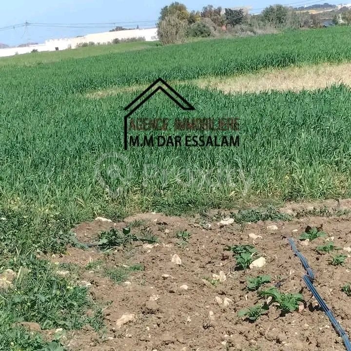 terrain à vendre