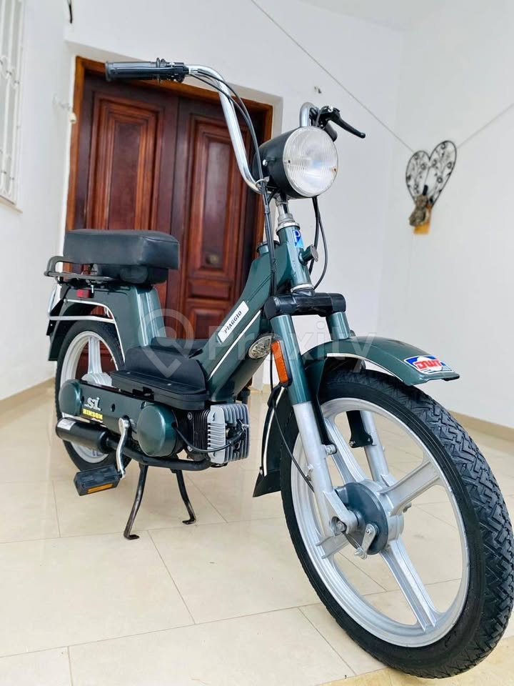Piaggio SI en bon état à Nabeul – 1700 TND