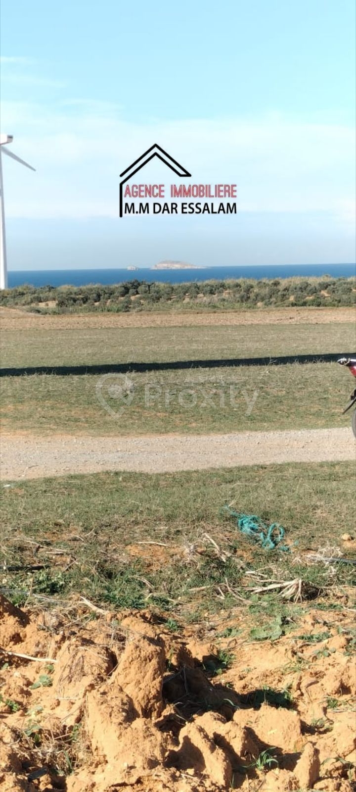 terrain près de la mer