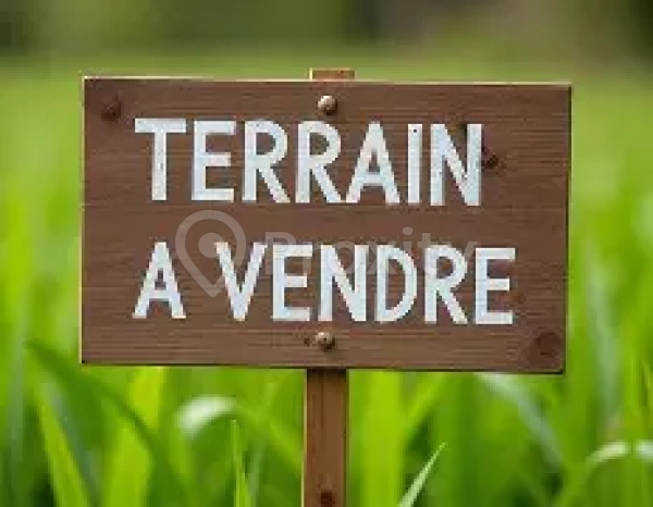 Terrain jumelé viabilisé R+2 – 265 m² – Menzah 9C (quartier résidentiel)
