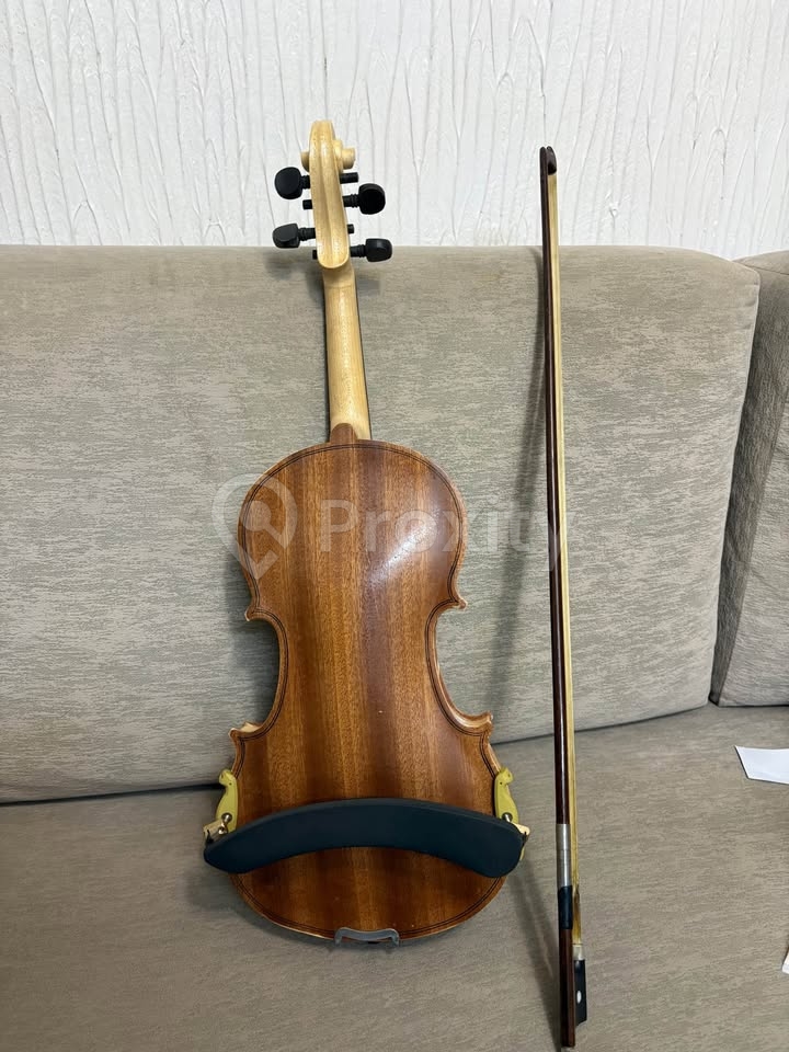 🎻 Violon Crescendo 4/4 + étui + archet + 2 épaulières – Nabeul – 270 DT