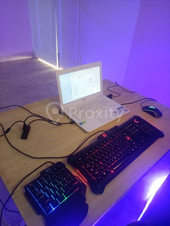 asus x302L