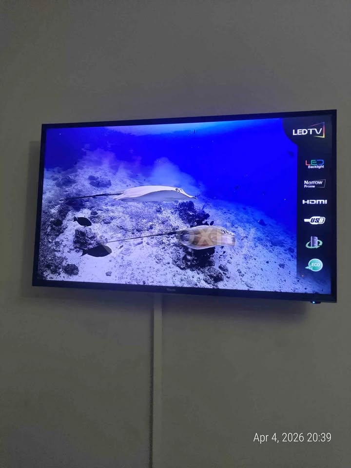 TV Condor 43 LED Full HD en bon état à Bizerte – 450 dinars