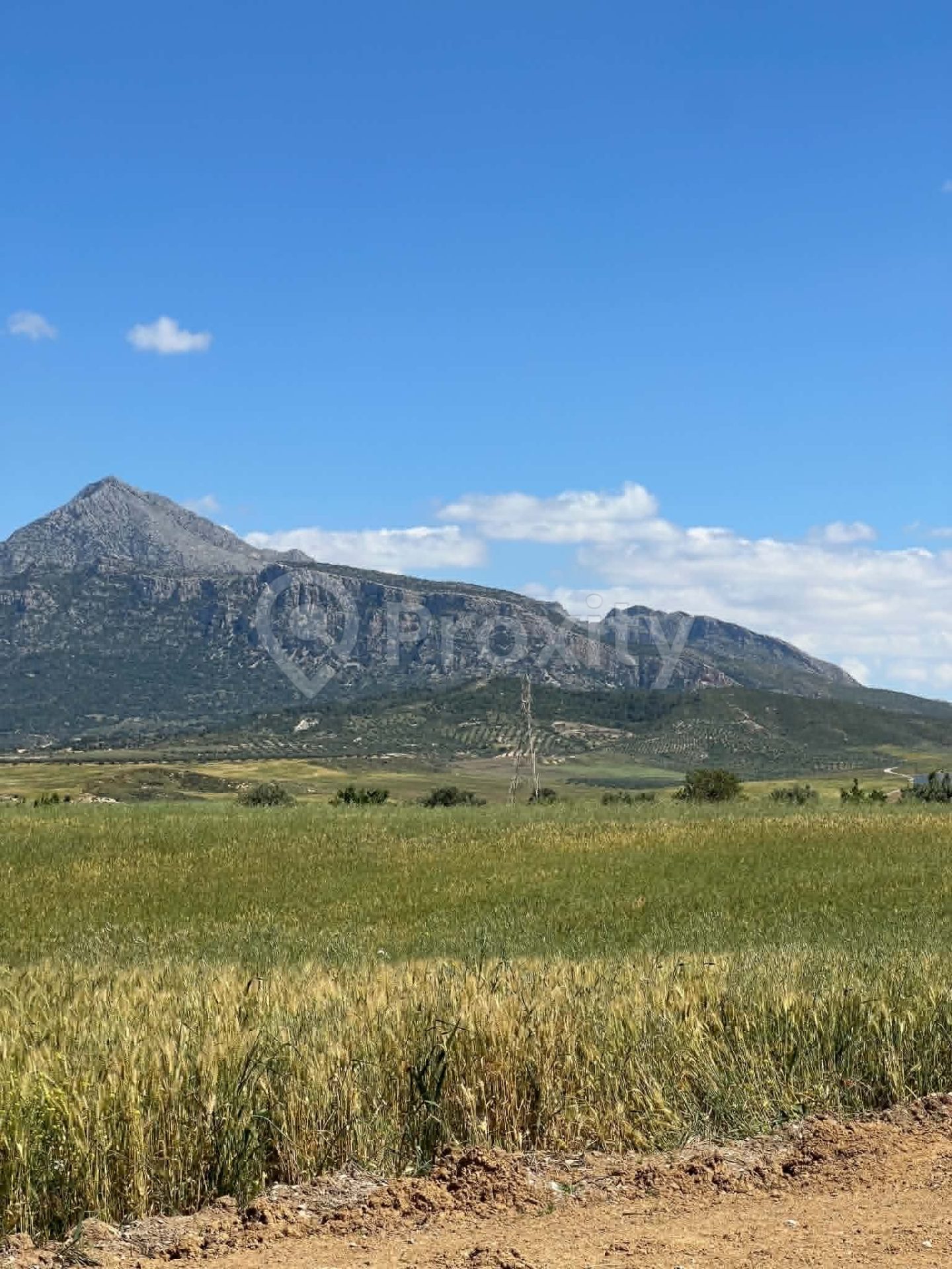 Terrain Agricole à Vendre – Sidi Medyen Zaghouan