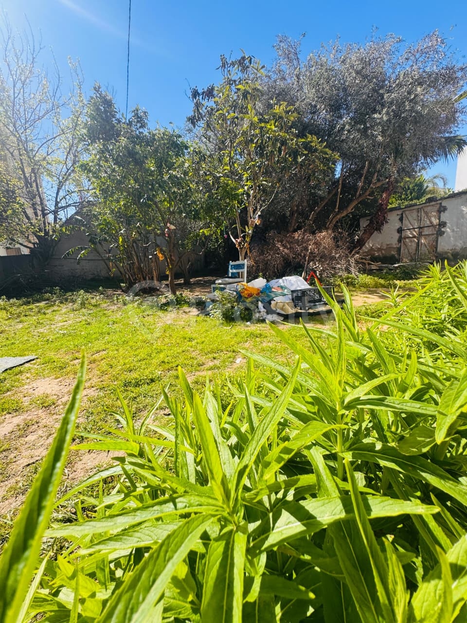 À Vendre : Terrain Clôturé à La Soukra