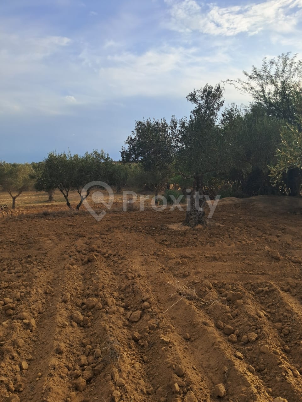 Terrain à Rmila chott meriem sousse – superficie : 3873 m²