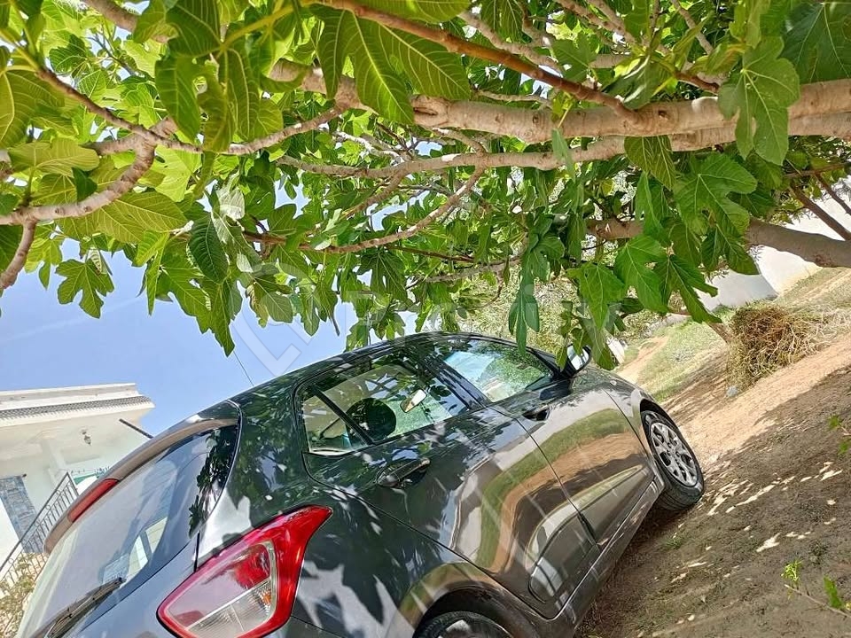 Hyundai i10 essence toutes options en bon état à vendre à Hammamet