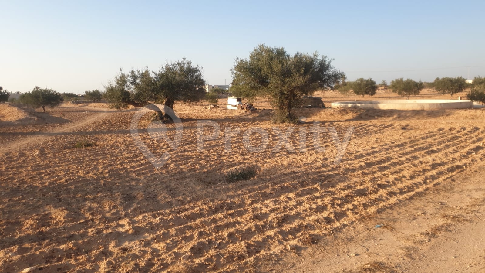 Terrain à vendre 4200 m² à Mezrane – Djerba – جربة