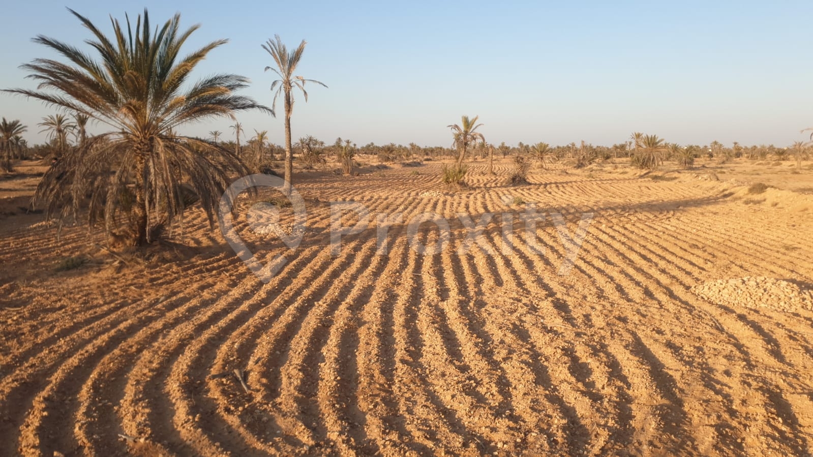 Mellita Djerba – terrain 4000m² جربة
