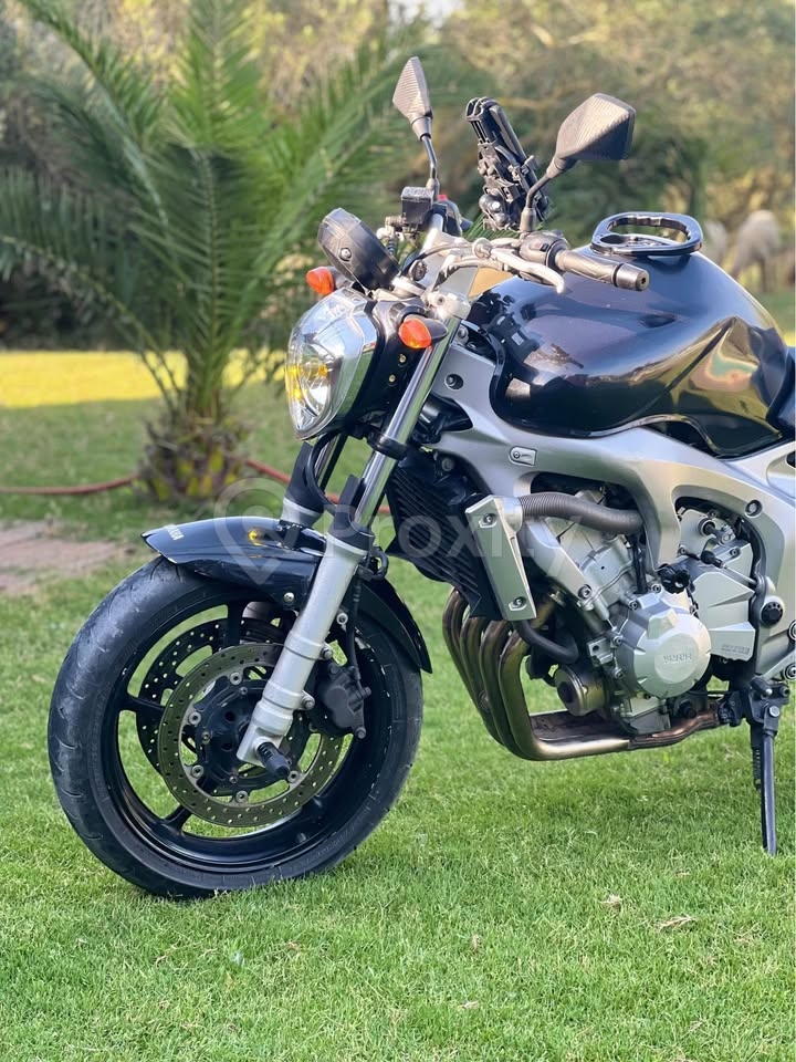 detail-avant-yamaha-fz6-nabeul