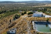 Ferme agricole 17 hectares à vendre près de Tunis – Terrains et Fermes – photo 8