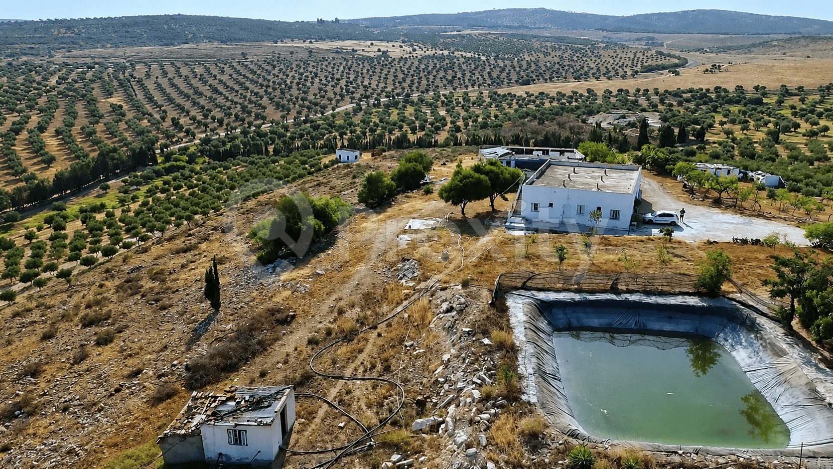 ferme-a-vendre-pres-de-tunis-investissement