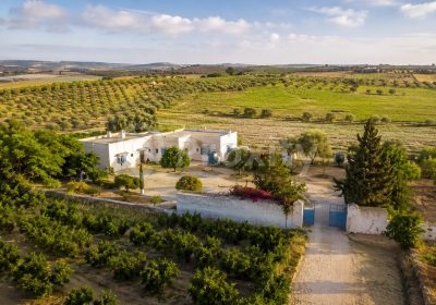 Ferme agricole de 12 700 m² avec deux maisons et oliviers à Echraf El Haouaria