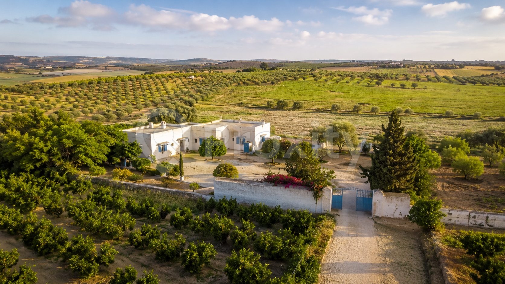ferme-agricole-12700-m2-echraf-el-haouaria