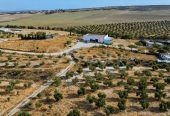 Ferme agricole 17 hectares à vendre près de Tunis – Terrains et Fermes – photo 10