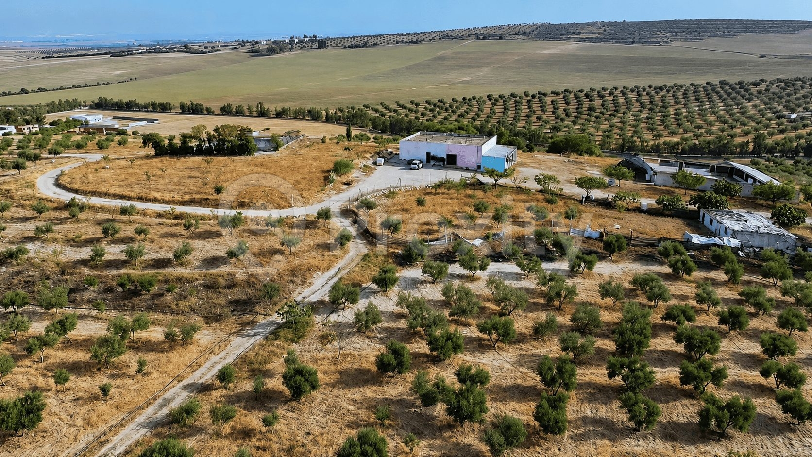 ferme-agricole-17-hectares-a-vendre-pres-de-tunis