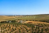 Ferme agricole 17 hectares à vendre près de Tunis – Terrains et Fermes – photo 9