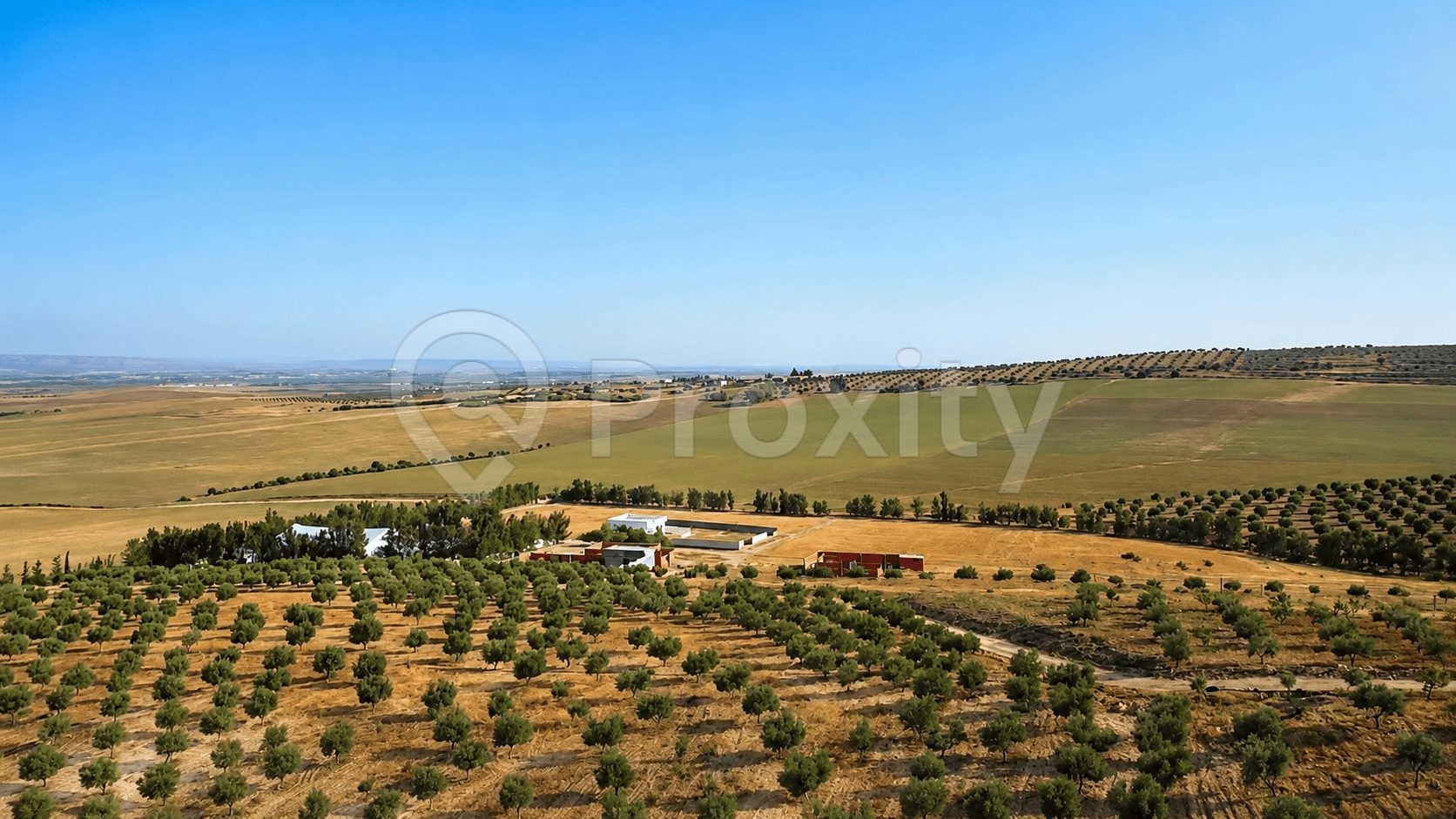 ferme-agricole-proche-tunis-17-hectares