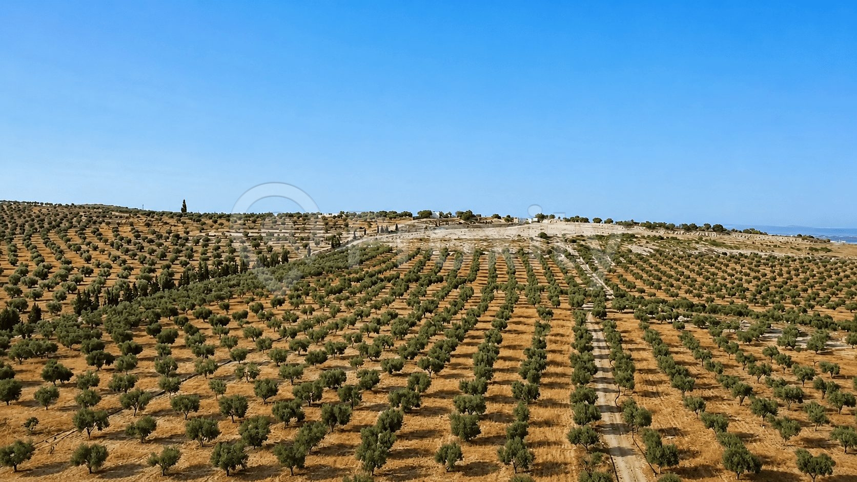 ferme-rare-a-vendre-proche-tunis
