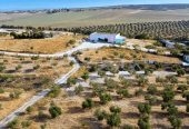 Ferme agricole 17 hectares à vendre près de Tunis – Terrains et Fermes – Tunis – photo 1