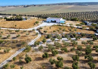 Ferme agricole de 17 hectares à vendre près de Tunis