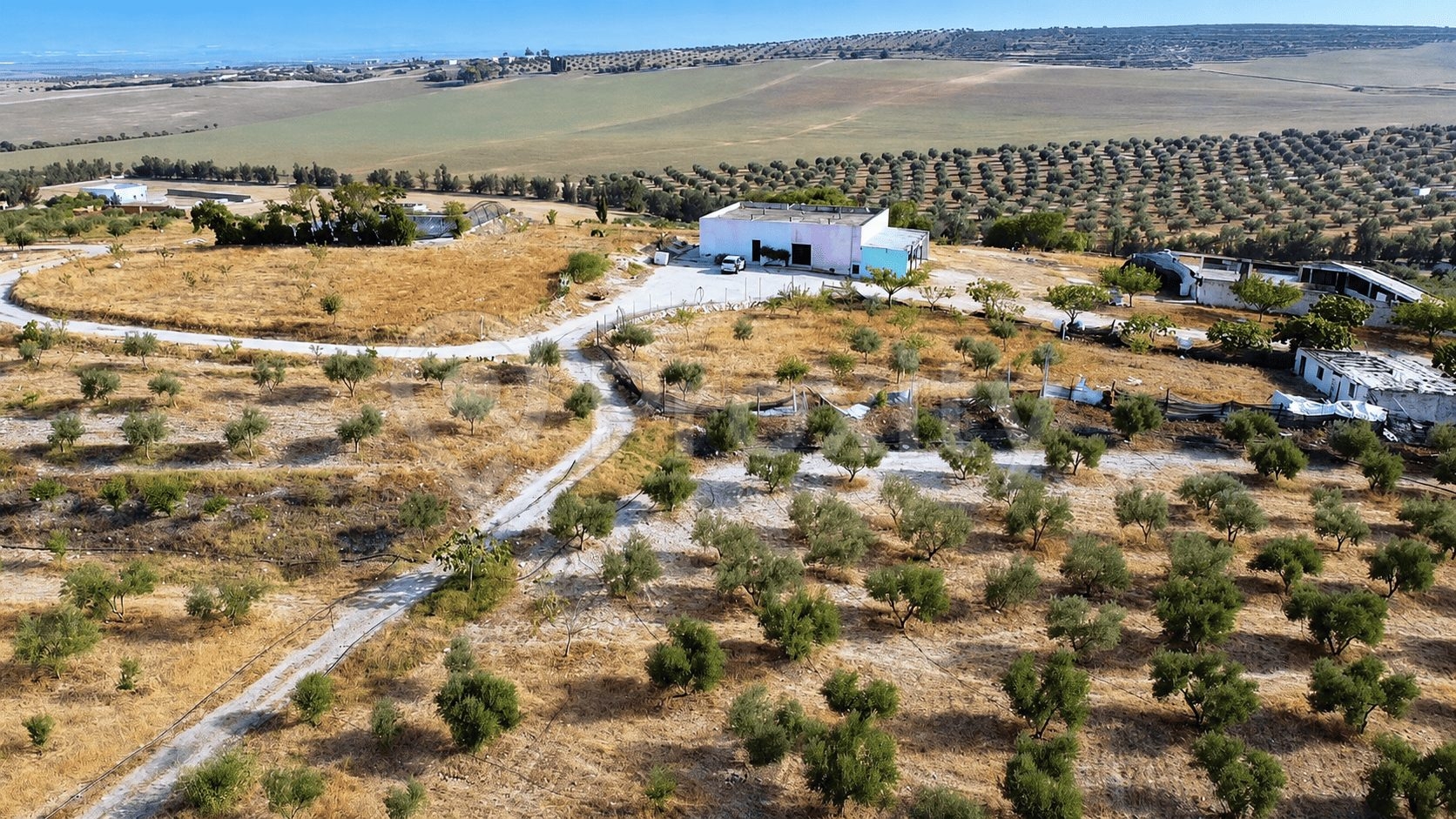 grande-ferme-agricole-a-vendre-tunisie