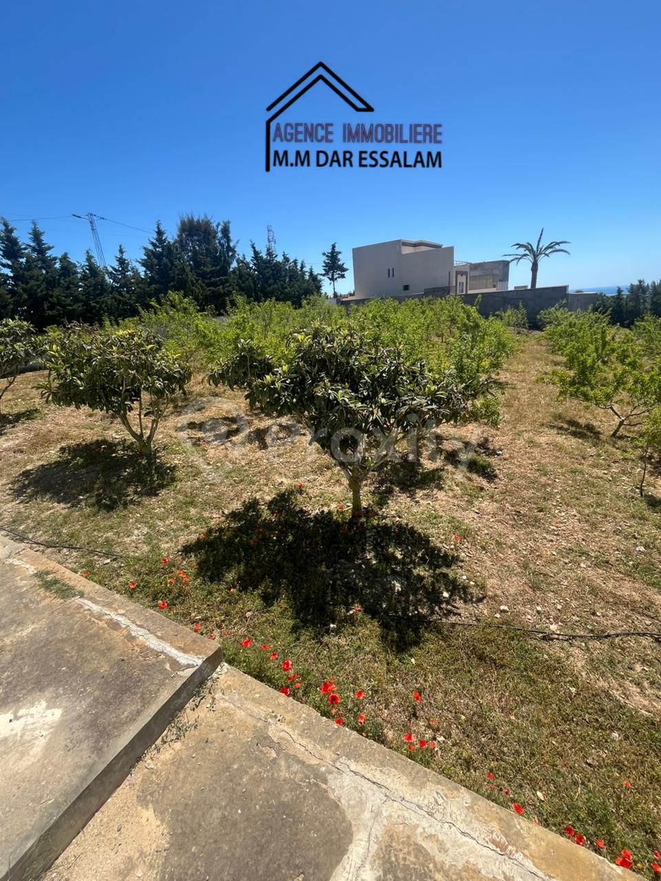 terrain avec une vue agréable