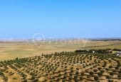 Ferme agricole 17 hectares à vendre près de Tunis – Terrains et Fermes – photo 6