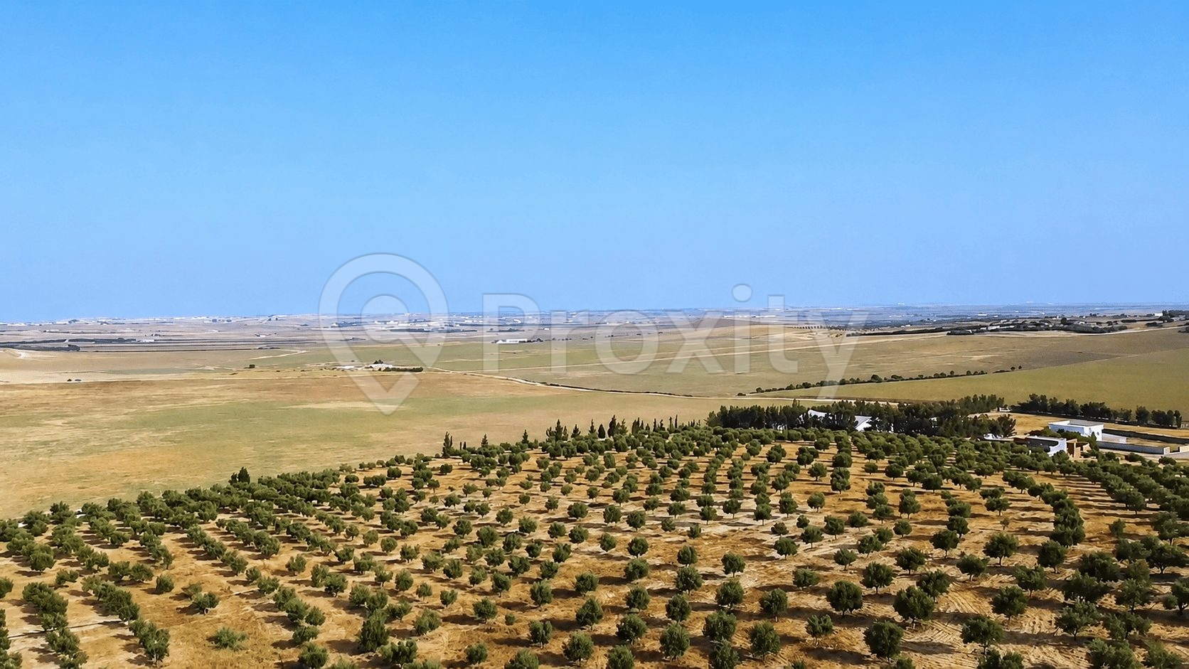 investissement-foncier-agricole-pres-de-tunis