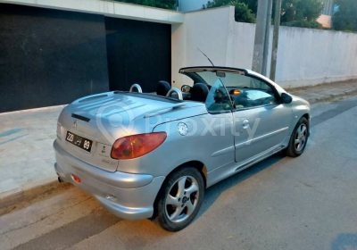 Vue arrière de la Peugeot 206 CC cabriolet d’occasion
