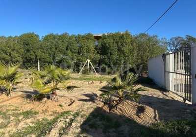 Terrain de 4000 m² à vendre à Hammamet